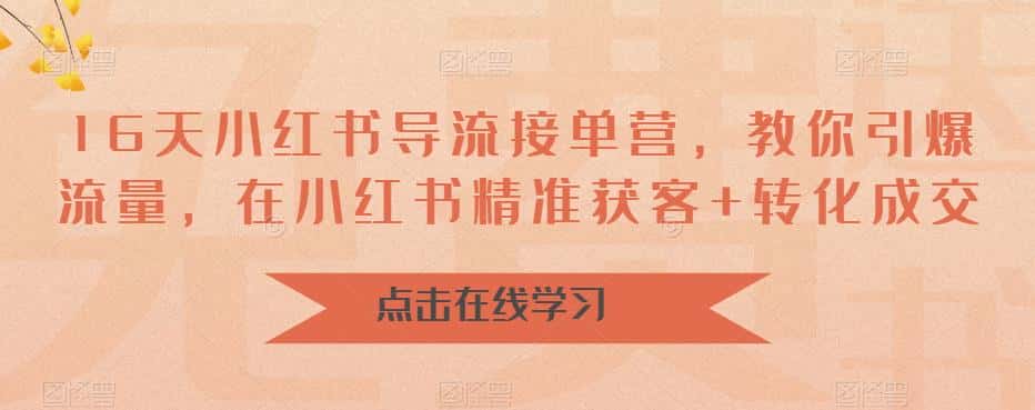 16天小红书导流接单营,教你引爆流量,在小红书精准获客+转化成交 16天小红书导流接单营,教你引爆流量,在小红书精准获客+转化成交