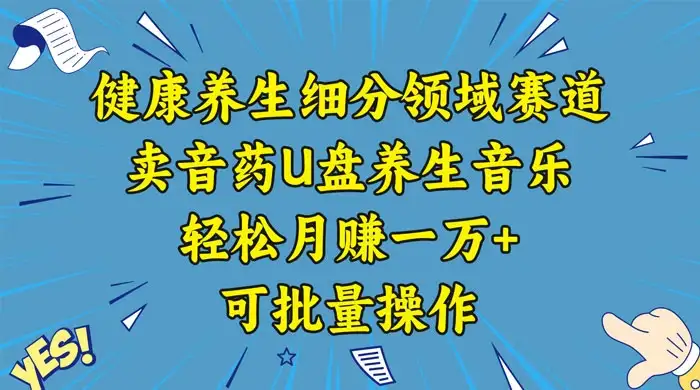 健康养生细分领域赛道,卖音药U盘养生音乐,轻松月赚一万+,可批量操作-优优云创网