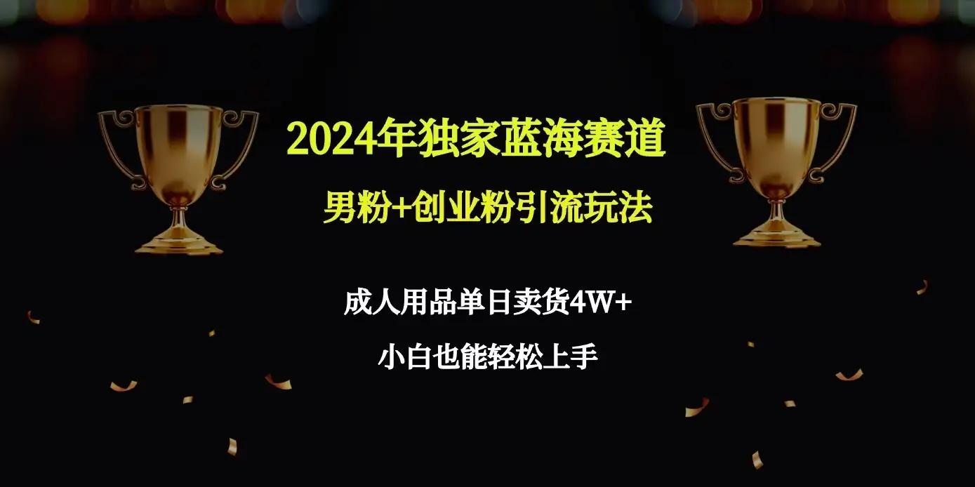 2024独家蓝海赛道,男粉+创业粉引流玩法。-优优云创网