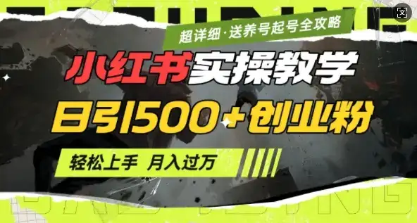 2月小红书最新日引500+创业粉实操教学【超详细】小白轻松上手,月入1W+,附小红书养号起号SOP