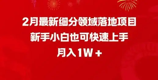 2月最新细分领域落地项目,新手小白也可快速上手,月入1W