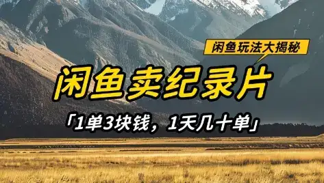 闲鱼卖纪录片1单3块钱,1天几十单,项目稳定有潜力