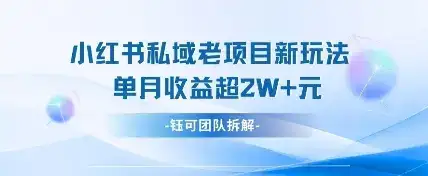小红书私域项目新玩法,单月变现过W+