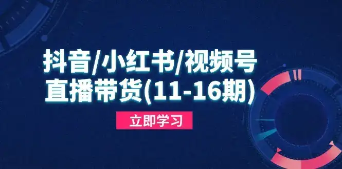 抖音/小红书/视频号/直播带货(11-16期-优优云创网 抖音/小红书/视频号/直播带货(11-16期-优优云创网