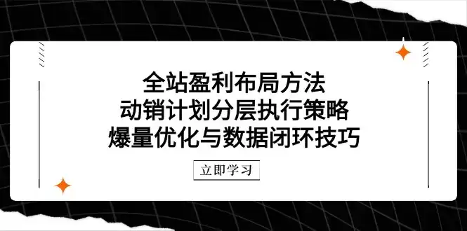 全站盈利布局方法:动销计划分层执行策略,爆量优化与数据闭环技巧-优优云创网 全站盈利布局方法:动销计划分层执行策略,爆量优化与数据闭环技巧-优优云创网
