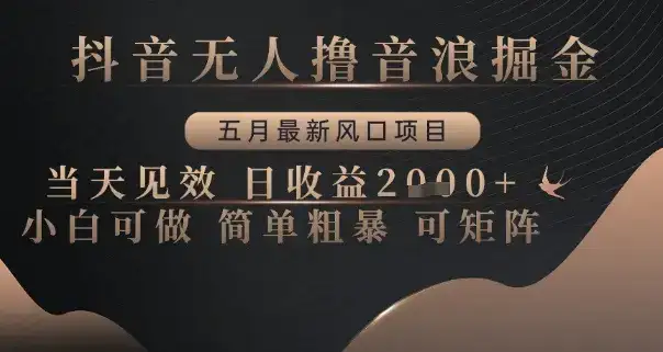 抖音无人撸音浪掘金,五月最新风口项目,当天见效,日收益多张,小白可做简单粗暴可矩阵【揭秘】-优优云创网 抖音无人撸音浪掘金,五月最新风口项目,当天见效,日收益多张,小白可做简单粗暴可矩阵【揭秘】-优优云创网