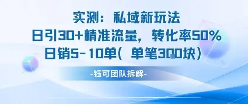 实测私域新玩法日引30加精准流量转化率50%日销5-10单每笔3张-优优云创网 实测私域新玩法日引30加精准流量转化率50%日销5-10单每笔3张-优优云创网