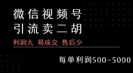 视频号卖二胡教程,利润大 易成交 售后少,一单利润5张+-优优云创网 视频号卖二胡教程,利润大 易成交 售后少,一单利润5张+-优优云创网