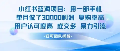小红书蓝海项目,一部手机单月做了3W利润,小白也能月入过1W用户认可度高成交多-优优云创网 小红书蓝海项目,一部手机单月做了3W利润,小白也能月入过1W用户认可度高成交多-优优云创网