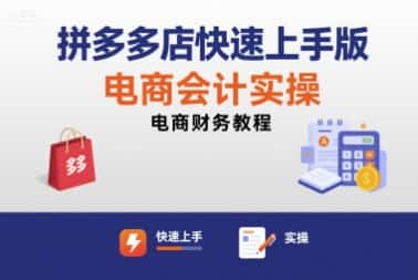 拼多多店快速上手版电商会计实操-电商财务教程
