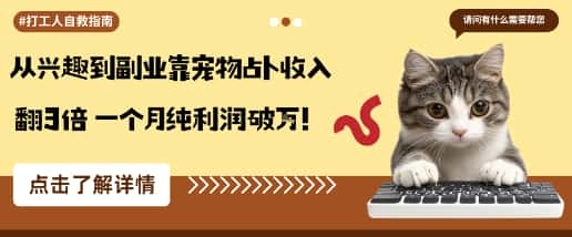 从兴趣到副业靠宠物占卜收入翻3倍一个月纯利润破W