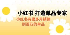 [小红书]某公众号付费文章《小红书 打造单品专家》小红书有很多月销额到百万的单品-优优云创网
