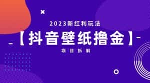 [抖音快手]2023新红利玩法，抖音壁纸撸金项目拆解-优优云创网