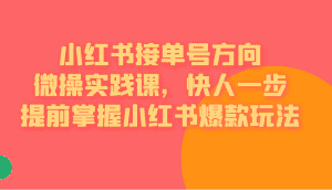 [小红书]小红书接单号方向微操实践课，快人一步提前掌握小红书爆款玩法-优优云创网