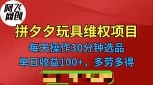 [其他课程]拼多多3C玩具维权项目，一天操作半小时，稳定收入100+（仅揭秘）-优优云创网