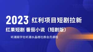 2023红利项目短剧拉新，月入过万红果短剧番茄小说CPA拉新项目教程-优优云创网