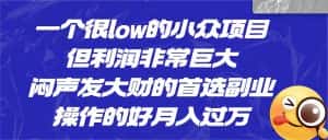 [抖音快手]一个很low的小众项目，但利润非常巨大，闷声发大财的首选副业，操作的好月入过万-优优云创网