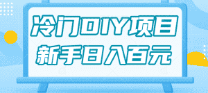 0基础操作冷门DIY项目，利用虚荣心新手也能轻松日入几百【视频教程】-优优云创网