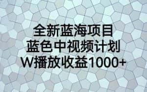 全新蓝海项目，蓝色中视频计划，1W播放量1000+-优优云创网