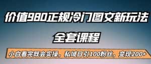 外面卖980的正规冷门图文新玩法,私域日引100粉丝,变现200+-优优云创网