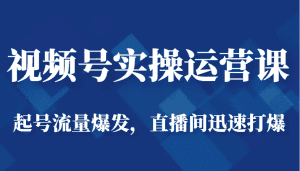 视频号实操运营课-起号流量爆发，直播间迅速打爆-优优云创网