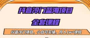 外面收费1288的抖音冷门蓝海项目,新手也可批量操作,月入1W+-优优云创网