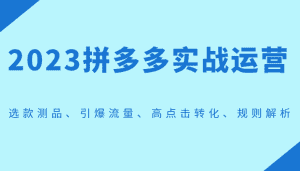 2023拼多多实战运营，选款测品、引爆流量、高点击转化、规则解析-优优云创网