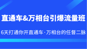 直通车&万相台引爆流量班 6天打通你开直通车·万相台的任督二脉-优优云创网