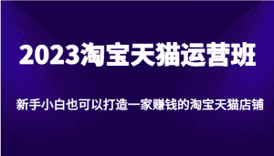 2023淘宝天猫运营班，新手小白也可以打造一家赚钱的淘宝天猫店铺-优优云创网
