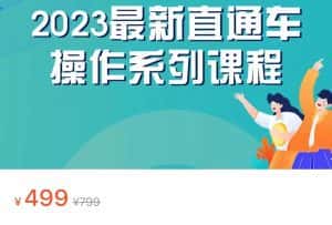 2023最新引力魔方系列课程,如何利用直通车去冲销量-优优云创网
