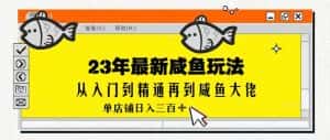 2023最新闲鱼实战课,从入门到精通再到闲鱼大佬,单号日入300+(更新)-优优云创网