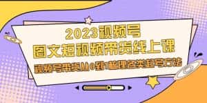 2023视频号-图文短视频带货线上课,视频号带货从0到1梳理各类起号方法-优优云创网