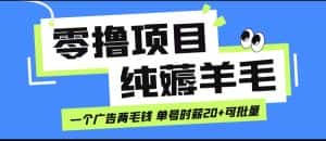 无脑纯薅羊毛小项目,一个广告两毛钱 单号时薪20+-优优云创网