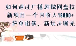 如何通过广播剧做网盘拉新项目一个月收入18000+，简单粗暴，新玩法曝光-优优云创网