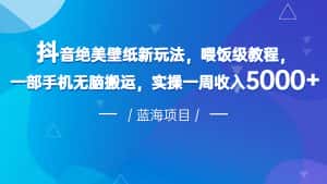 抖音绝美壁纸新玩法，喂饭级教程，一部手机无脑搬运，实操一周收入5000-优优云创网