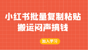 某公众号付费文章:小红书批量复制粘贴搬运闷声搞钱!-优优云创网