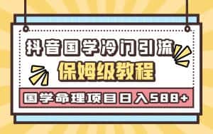 国学玄学神秘学最新命理冷门引流玩法，无脑操作，单日引流50+，轻松日入500+-优优云创网