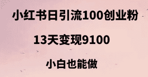 小红书日引流100+创业粉，13天变现9100，创业首选引流平台-优优云创网