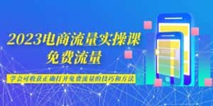 2023电商流量实操课-免费流量，学会可收获正确打开免费流量的技巧和方法-优优云创网