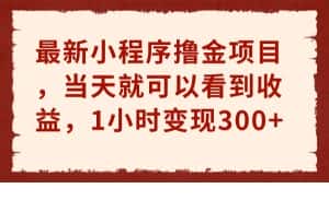 最新小程序撸金项目，当天就可以看到收益，1小时变现300+-优优云创网