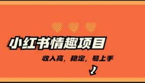 最新小红书情趣项目，市场大，日入千+，持续稳定收入-优优云创网