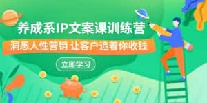 养成系-IP文案课训练营,文案心法的天花板 洞悉人性营销 让客户追着你收钱-优优云创网