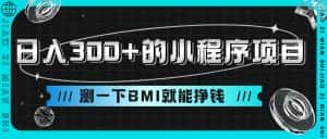 日入300+的小程序项目,测一下BMI就能挣钱-优优云创网