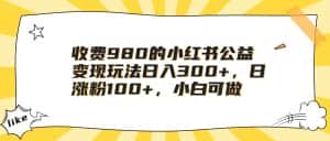 收费980的小红书公益变现玩法日入300+,日涨粉100+,小白可做-优优云创网