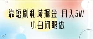 靠短剧私域掘金 月入5W 小白闭眼做(教程+2T资料)-优优云创网