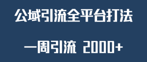 精准获客工具号，一周引流 2000+，公域引流全平台打法-优优云创网