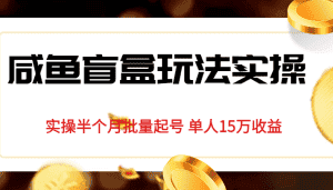 独家首发咸鱼盲盒玩法实操，半个月批量起号单人15万收益揭秘-优优云创网