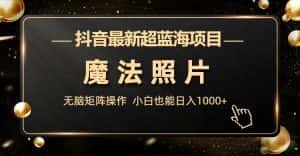 抖音最新超蓝海项目，魔法照片，无脑矩阵操作，小白也能日入1000+-优优云创网