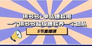 拼多多·单品爆款班,一个拼多多超级爆款养一个团队(5节直播课)-优优云创网