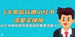 5天带你玩爆小红书流量实操班，小红书种草是内容营销的重要流量入口-优优云创网
